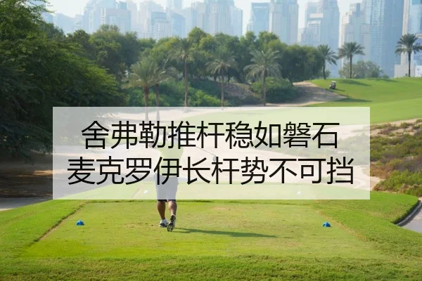 舍弗勒推杆稳如磐石 麦克罗伊长杆势不可挡
