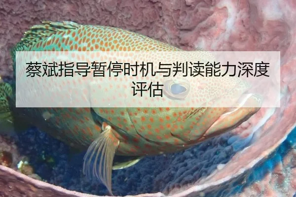蔡斌指导暂停时机与判读能力深度评估