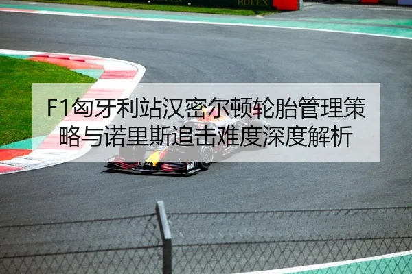 F1匈牙利站汉密尔顿轮胎管理策略与诺里斯追击难度深度解析